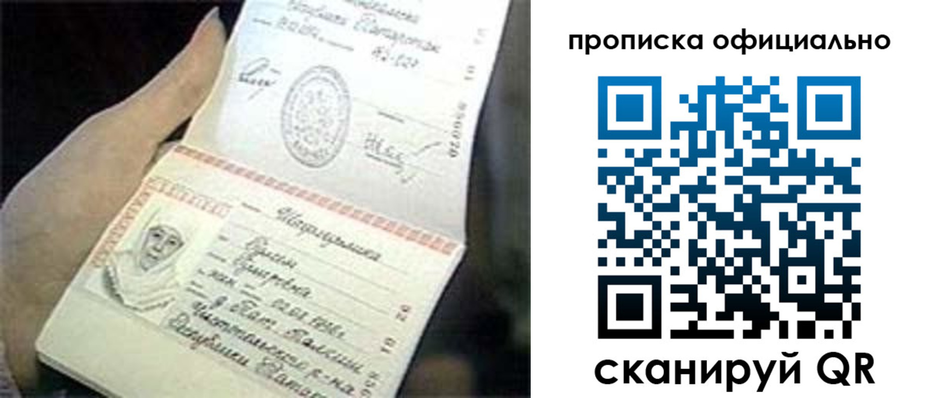 прописка поиск в Ершове
